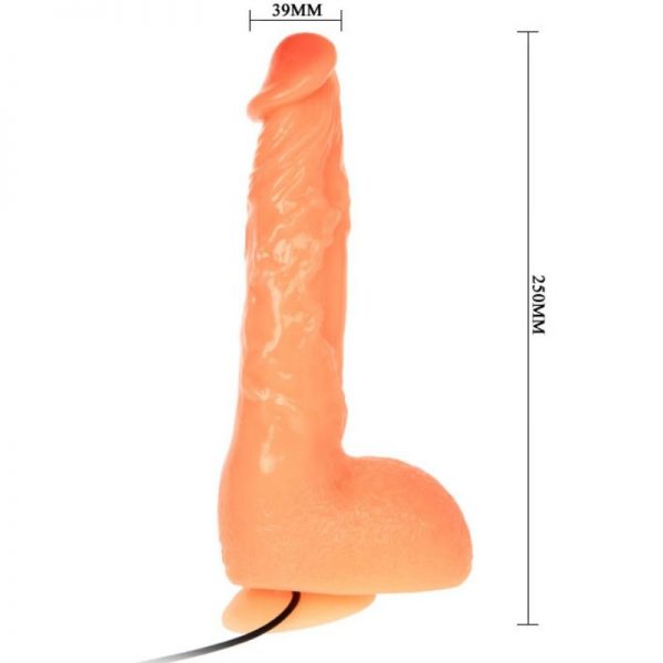 BAILE - PENIS VIBRATION DILDO WITH VIBRATION REALISTIC SENSATION - Image 3