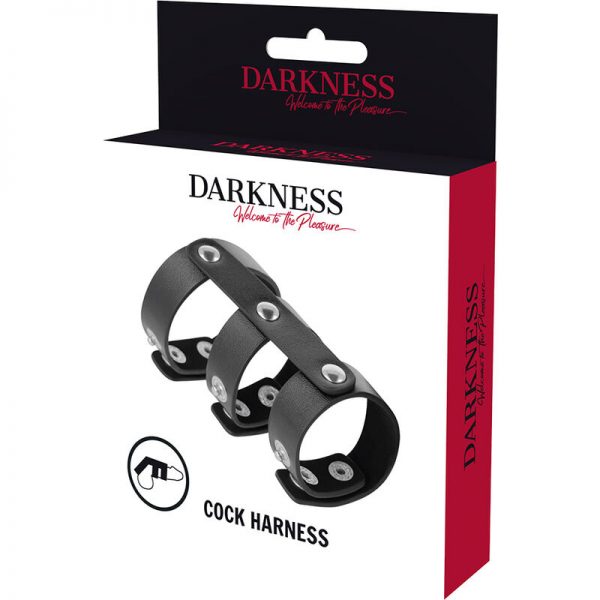 DARKNESS - ADJUSTABLE LEATHER DOUBLE PENIS AND TESTICLE RING - Image 2