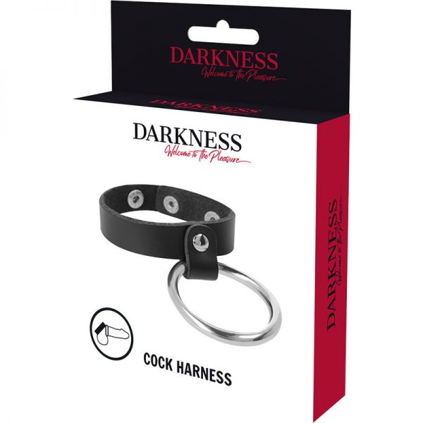 DARKNESS - METAL RING FOR THE PENIS AND TESTICLES - Image 2