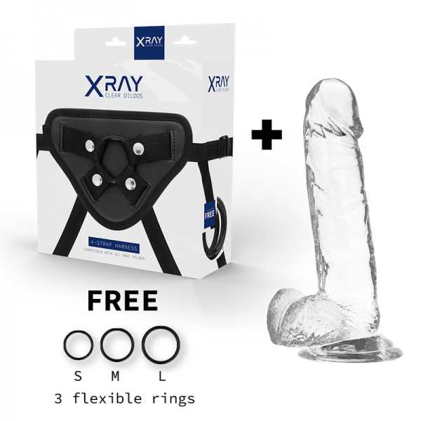 XRAY HARNESS + CLEAR COCK WITH BALLS 20CM X 4.5CM - Image 2