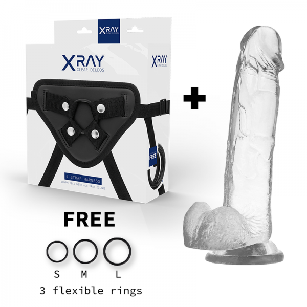 XRAY HARNESS + COCK WITH BALLS 22CM X 4.6CM - Image 2