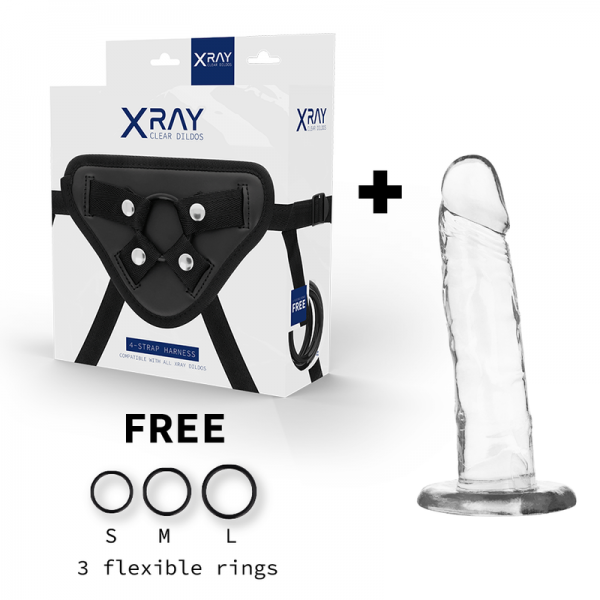 X RAY - HARNESS + CLEAR COCK 18 CM -O- 4 CM - Image 2