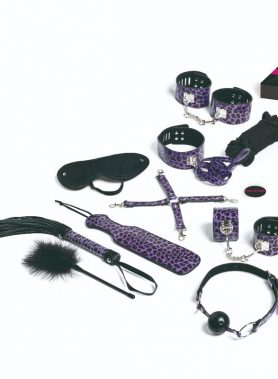 TEASE & PLEASE - SET 13 LILAC BONDAGE ACCESSORIES