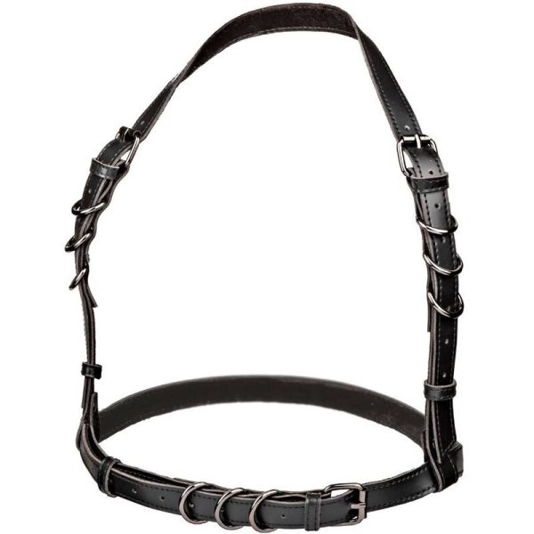 CALEXOTICS - EUPHORIA PLUS SIZE HALTER BUCKLE HARNESS BLACK - Image 4