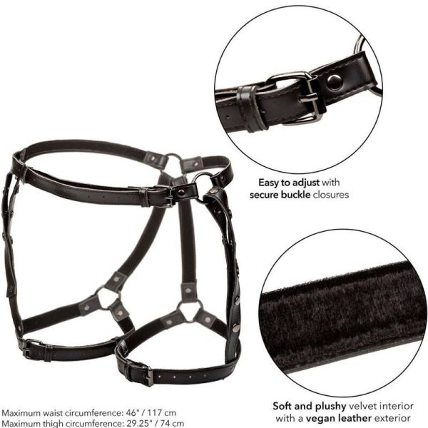 CALEXOTICS - EUPHORIA PLUS SIZE RIDING THIGH HARNESS - Image 5