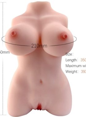 ARMONY - REALISTIC FEMALE TORSO MODEL 3