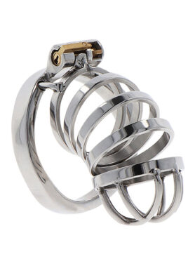 HIDDEN DESIRE - EXTREME CHASTITY COCK CAGE METAL